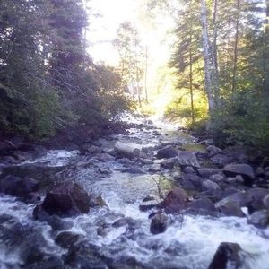 Meet your Posher, Lucie